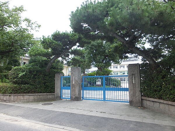 画像23:小学校「広島市立大芝小学校まで364ｍ」