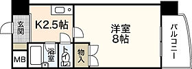 NAKASHIMA.BLD 701 ｜ 広島県広島市中区本川町2丁目（賃貸マンション1K・7階・24.07㎡） その2