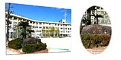 小学校「広島市立中野東小学校まで348ｍ」