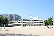 小学校「広島市立天満小学校まで663ｍ」