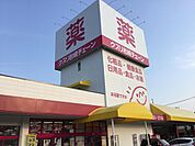 ドラックストア「クスリ岩崎チェーン広島廿日市店まで290ｍ」