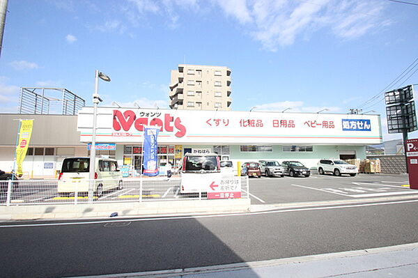 ライオンズマンション白島中町 ｜広島県広島市中区白島中町(賃貸マンション2DK・2階・45.34㎡)の写真 その18