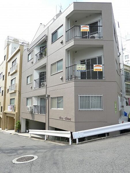 東白ビル ｜広島県広島市中区東白島町(賃貸マンション2DK・3階・32.21㎡)の写真 その1