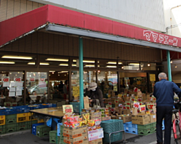 広島県広島市西区観音本町1丁目（賃貸マンション1R・4階・31.98㎡） その7