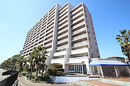 ナタリーマリナタウンウエストデッキＣ棟(914)