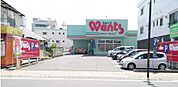 ドラックストア「ウォンツ五日市コイン通り店まで202ｍ」