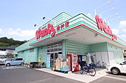 ドラックストア「ウォンツ緑井店まで238ｍ」