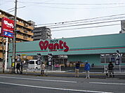 ドラックストア「ウォンツ己斐本町店まで273ｍ」
