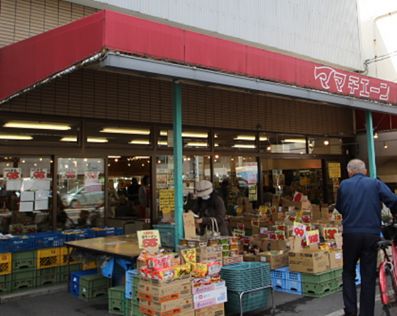 センテニアル東観音 ｜広島県広島市西区東観音町(賃貸マンション3SLDK・3階・72.05㎡)の写真 その12