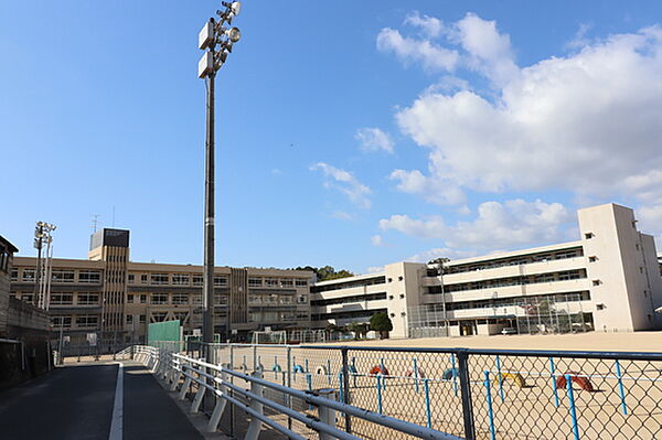 画像19:小学校「広島市立矢野小学校まで377ｍ」