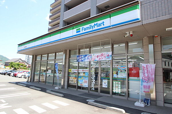 広島県広島市安佐南区大町東2丁目(賃貸マンション3LDK・8階・66.00㎡)の写真 その20