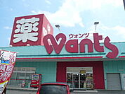 ドラックストア「ウォンツ宮内店まで898ｍ」