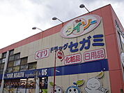ドラックストア「ドラッグセガミ東雲店まで769ｍ」