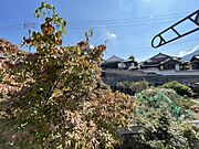 ※別部屋の写真です