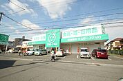 ドラックストア「ザグザグ古市店まで829ｍ」