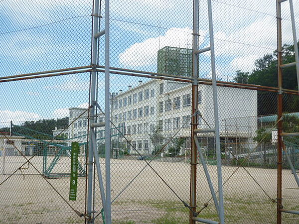 画像14:小学校「広島市立早稲田小学校まで1157ｍ」