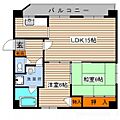 メゾン国泰寺2階8.0万円