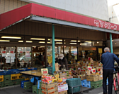 スーパー「ママチェーンカネホリ本店まで486ｍ」