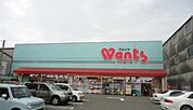 ドラックストア「ウォンツ中広通り店まで271ｍ」
