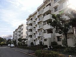 🉐敷金礼金0円！🉐鈴が峰第5団地　5号棟