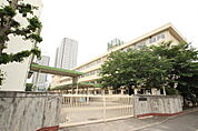 小学校「広島市立白島小学校まで585ｍ」