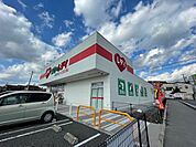 ドラックストア「くすりのレデイ広島西条店まで1128ｍ」