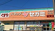 ドラックストア「ドラッグセガミ皆賀店まで652ｍ」