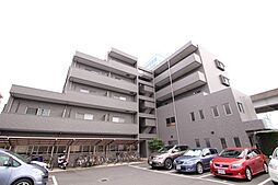 セレブ洋