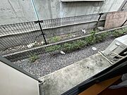 ※別部屋の写真です