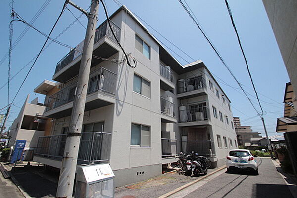 広島県広島市西区高須1丁目(賃貸マンション2DK・3階・37.50㎡)の写真 その1
