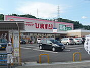 ドラックストア「スーパードラッグひまわり中山店まで1086ｍ」