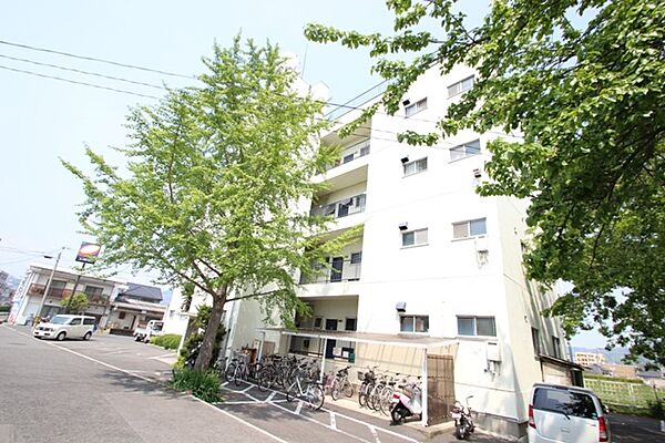 中川コーポラス ｜広島県広島市安佐南区古市1丁目(賃貸マンション3DK・3階・46.44㎡)の写真 その19