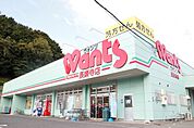 ドラックストア「ウォンツ長楽寺店まで722ｍ」
