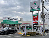スーパー「ピュアークック東雲店まで622ｍ」
