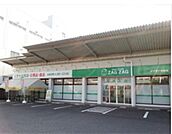 ドラックストア「ザグザグ光南店まで196ｍ」