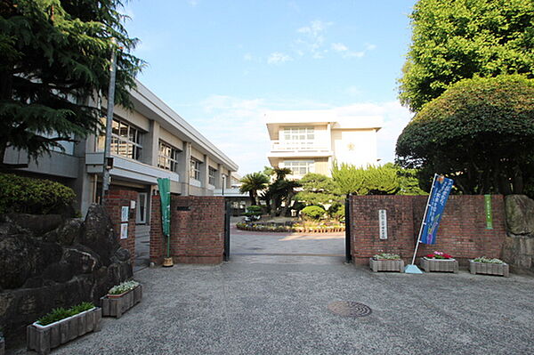 広島県広島市中区南竹屋町(賃貸マンション2LDK・4階・45.38㎡)の写真 その19