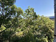 ※別号室の写真になります。