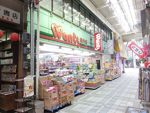 画像21:ドラックストア「ハーティウォンツ横川店まで755ｍ」