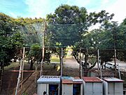 ※別部屋の写真です