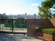 小学校「広島市立中島小学校まで488ｍ」