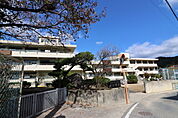 小学校「坂町立坂小学校まで551ｍ」