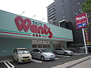 ドラックストア「ウォンツ白島店まで744ｍ」