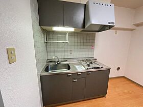 広島県広島市中区上幟町（賃貸マンション1DK・4階・29.70㎡） その4