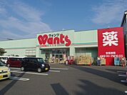 ドラックストア「ウォンツ大竹店まで567ｍ」