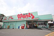 ドラックストア「ウォンツ五日市コイン通り店まで437ｍ」