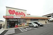 ドラックストア「ウォンツ波出石店まで818ｍ」