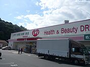 ドラックストア「くすりのレデイ長楽寺店まで876ｍ」