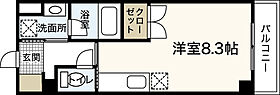 広島県広島市西区観音町（賃貸マンション1R・3階・28.80㎡） その2