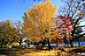 周辺：横川下原公園迄300ｍ