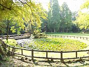 石川東公園迄220ｍ